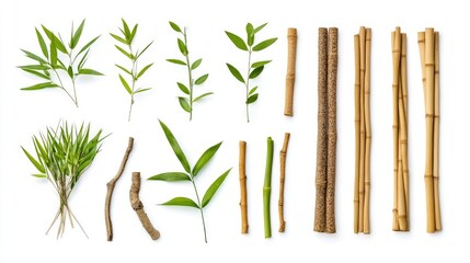 Bamboo sticks set and collection with clipping path, isolated on white, clipping path