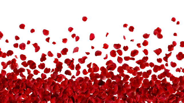 Romantic red rose petals falling elegantly against a vibrant red background