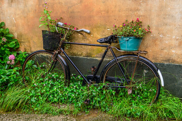 Old, black bicycle leans against a textured wall overgrown by foliage at Huangling Village in...