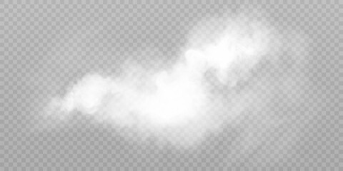 Clouds of white smoke or steam with realistic texture on transparent background. Vector smoke to simulate fog, cold breath, magic effect or explosion.