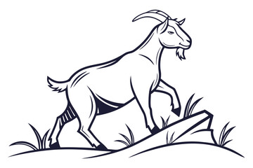 Fototapeta premium Outlined goat with curved horns confidently steps onto rocks with wild grass