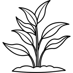 Seedling Sprout Line Art Vector