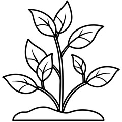 Seedling Sprout Line Art Vector