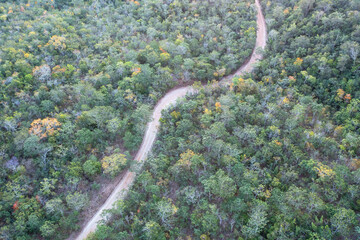 Aerial view of an unpaved, twisting road crosising a thick forest in Pirenópolis. Goiás, Brazil.