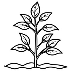 Seedling Sprout Line Art Vector