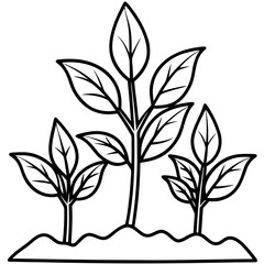 Seedling Sprout Line Art Vector