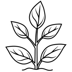 Seedling Sprout Line Art Vector