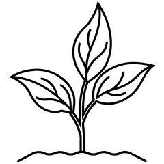 Seedling Sprout Line Art Vector