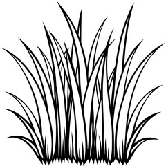 Simple Grass Tuft Vector Outline