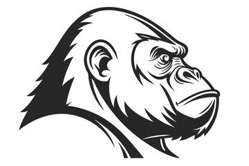 Ferocious gorilla head showing strong facial features displayed in a sharp monochrome rendering