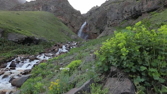 A majestic waterfall cascades down towering mountains, feeding a rushing stream through a lush green valley. Wildflowers adorn rocky slopes, crafting a tranquil natural landscape.
