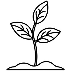 Spring Sprout Line Art Vector