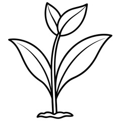 Spring Sprout Line Art Vector