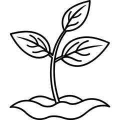 Spring Sprout Line Art Vector