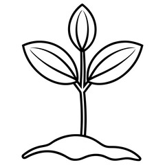 Spring Sprout Line Art Vector