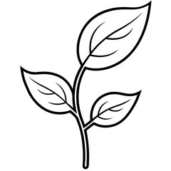 Obraz premium Tiny Leaf Bud Line Art Vector