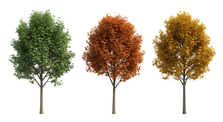 Trees in seasonal foliage, 3d rendered isolated on transparent background