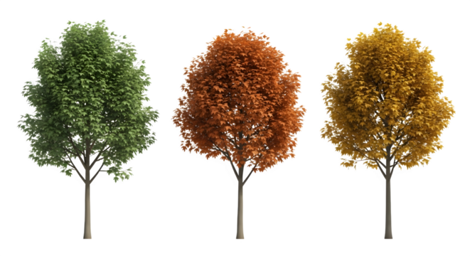 Trees in seasonal foliage, 3d rendered isolated on transparent background