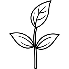 Tiny Seedling Outline Vector