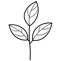 Tiny Seedling Outline Vector