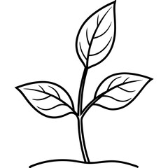 Tiny Seedling Outline Vector