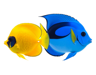 Blue Txang (Dory Fish)_High-resolution real-life image of a blue tang fish, bright blue Fish