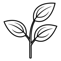 Twin Leaf Line Art