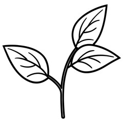 Twin Leaf Line Art