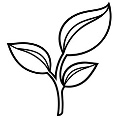 Twin Leaf Line Art
