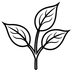 Twin Leaf Line Art