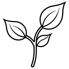 Twin Leaf Line Art