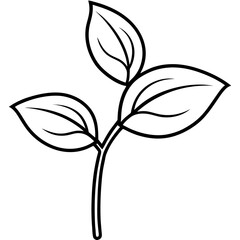 Twin Leaf Line Art