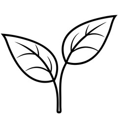 Twin Leaf Line Art