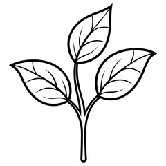 Twin Leaf Line Art