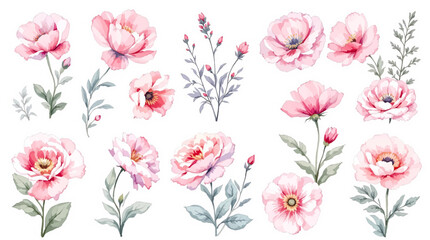 Spring flowers collage, Watercolor floral background, set of floral elements © Wildflower