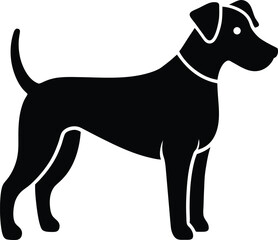 dog isolated on white background