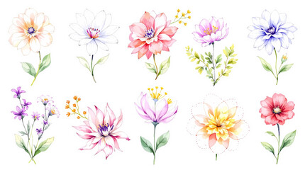 Obraz premium Watercolor floral background, set of floral elements
