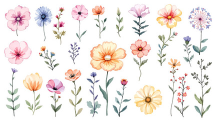 Floral background with flowers, Set of watercolor Wildflowers, Clipart watercolor flowers