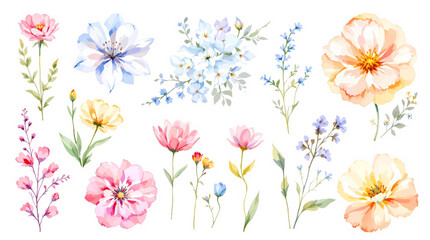 Obraz premium Set of watercolor Wildflowers, Clipart watercolor flowers