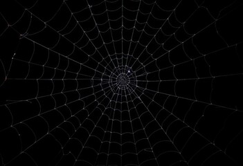 Intricate black spiderweb on a deep black background, Halloween theme, fear, art