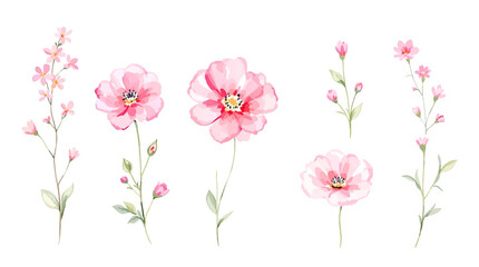 Set of spring flowers, set of flowers, Colorful spring flowers, Set of watercolor flowers, Clipart watercolor flowers	