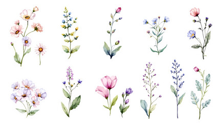 Set of spring flowers, set of flowers, Colorful spring flowers, Set of watercolor flowers, Clipart watercolor flowers	