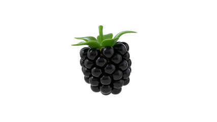 A realistic 3D rendering of a blackberry fruit, showcasing its glossy black surface and green leaves.