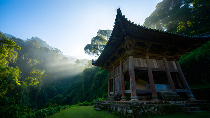 Obraz premium Pavilion in a misty forest with sunlight shining through