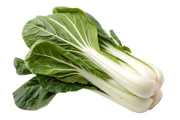  bok-choy-vegetable isolated on white background