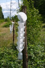 Pheromone trap, specifically a funnel-type trap, used for monitoring or controlling insect...