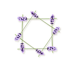 Lavender sprigs in geometric floral frame photography isolated on white background