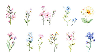 spring flowers vector illustration