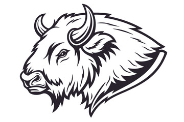 Black and white bison head profile displays strong detailed fur and curved horns