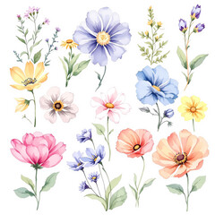 Obraz premium Set of flowers, set of spring flowers
